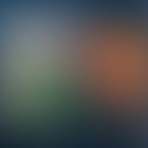 Meet your Posher, Trevor